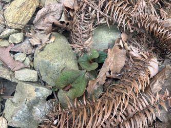 微信圖片_20250423162452 微信圖片_20250423162452