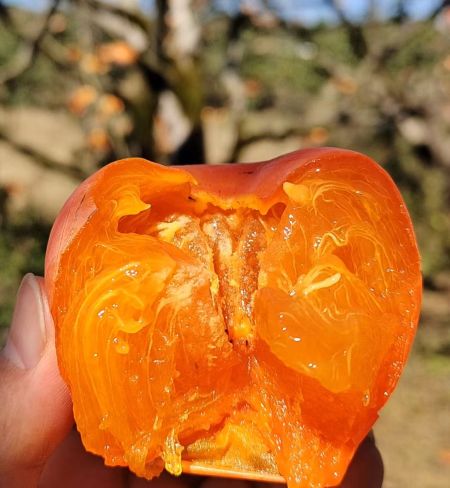 5fc15c7a8310558b420b34f17298f7fc